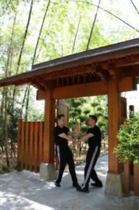 Zen Wing Chun