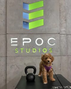 Epoc Studios-Boston MA